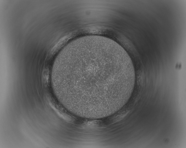 X0000115070072200911171140
