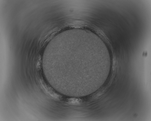 X0000115070073200911171140