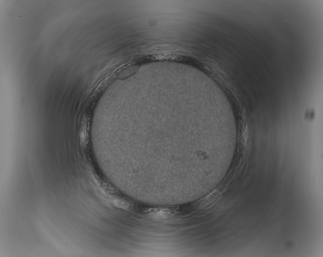 X0000115070074200911171140