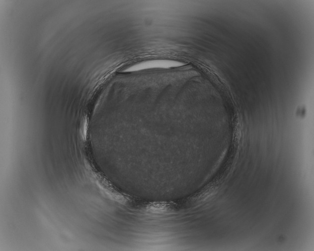X0000115070076200911171140