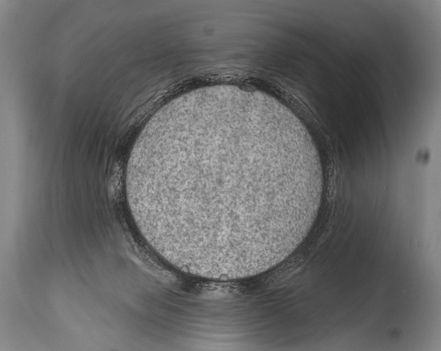 X0000115070077200911171140