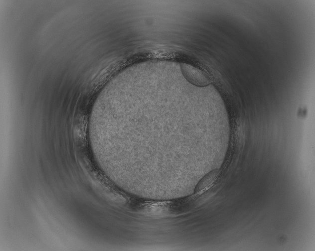 X0000115070078200911171140