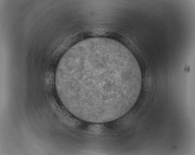 X0000115070079200911171140