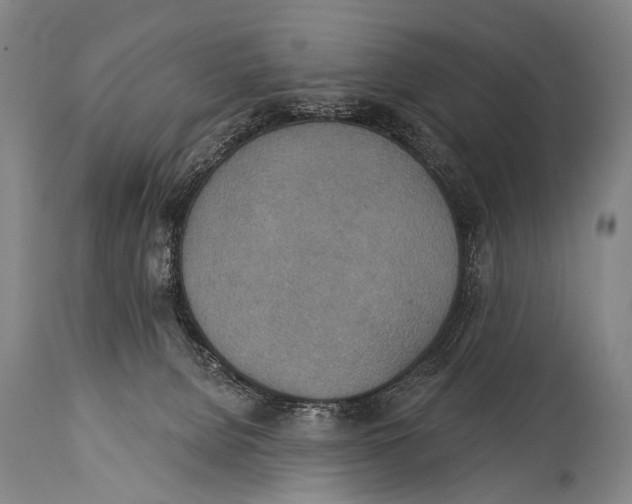 X0000115070080200911171140