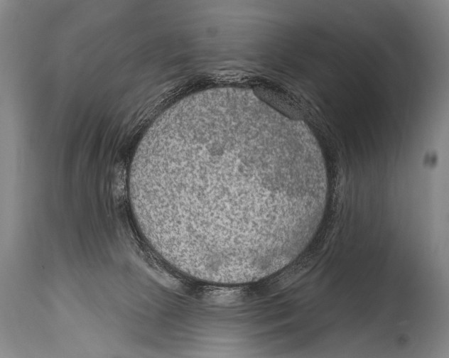 X0000115070081200911171140