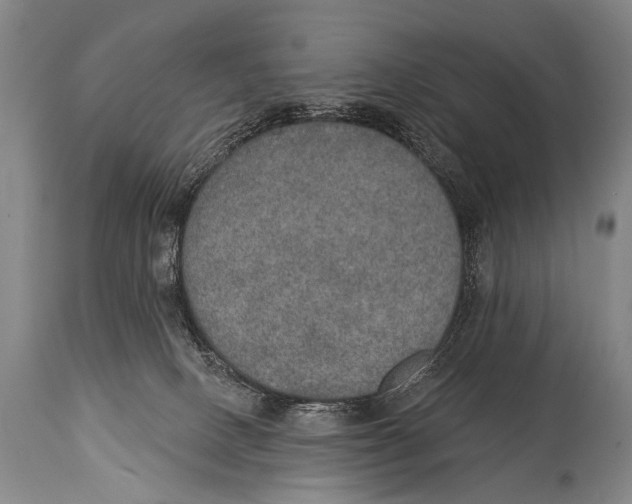 X0000115070082200911171140