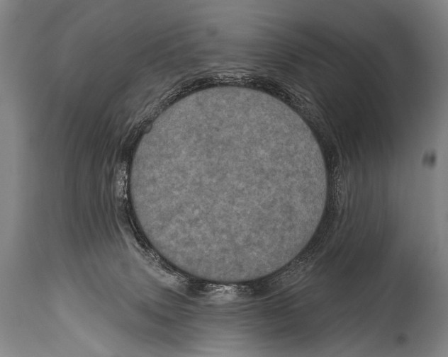 X0000115070083200911171140