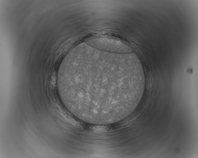 X0000115070085200911171140