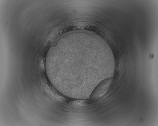 X0000115070086200911171140