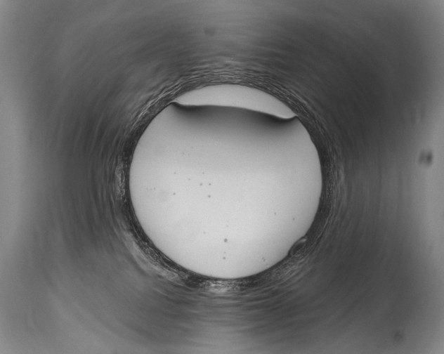 X0000115070088200911171140