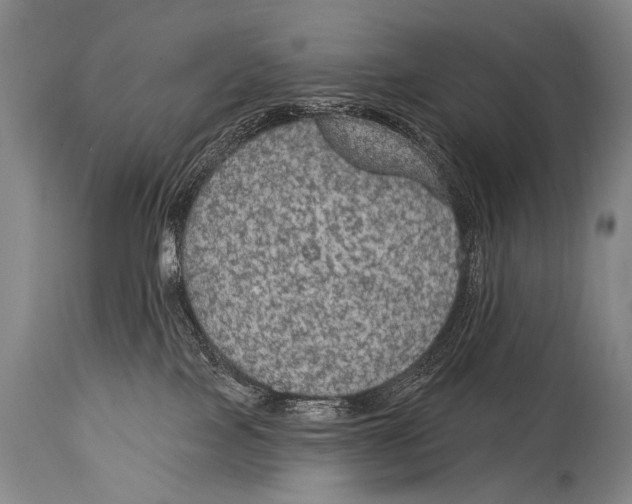 X0000115070089200911171140