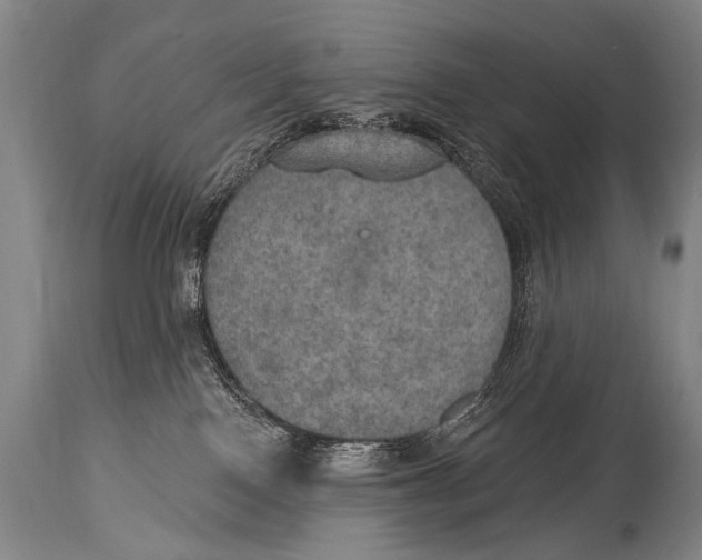 X0000115070090200911171140