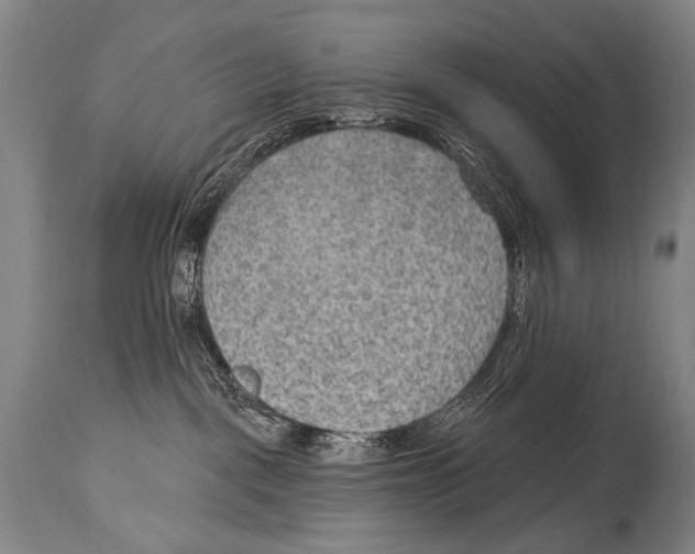 X0000115070093200911171140