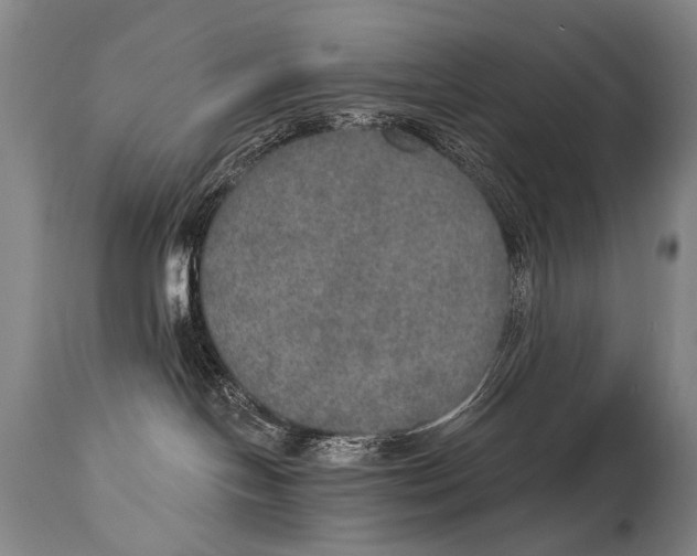 X0000115070094200911171140