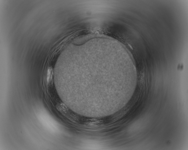 X0000115070095200911171140