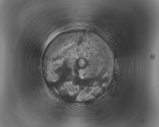 X0000115070099200911171139