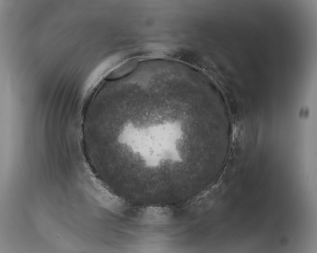 X0000115070101200911171139