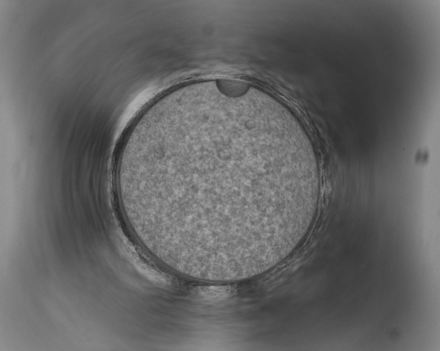 X0000115070102200911171139