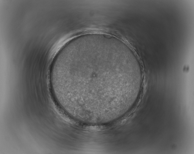 X0000115070103200911171139