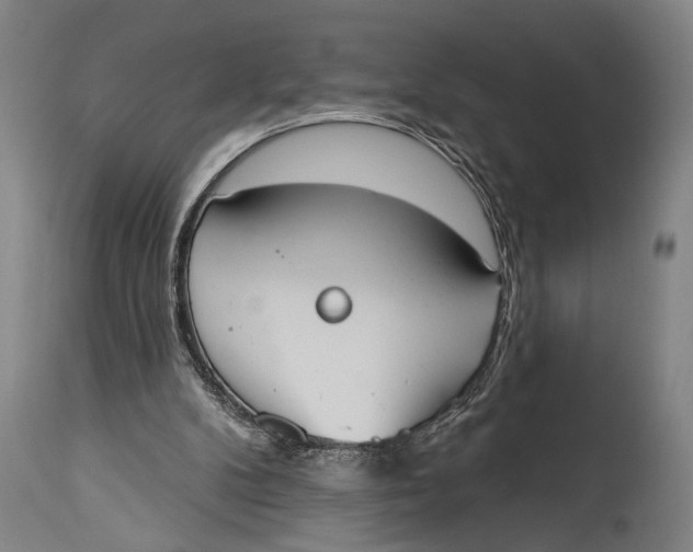 X0000115070104200911171139