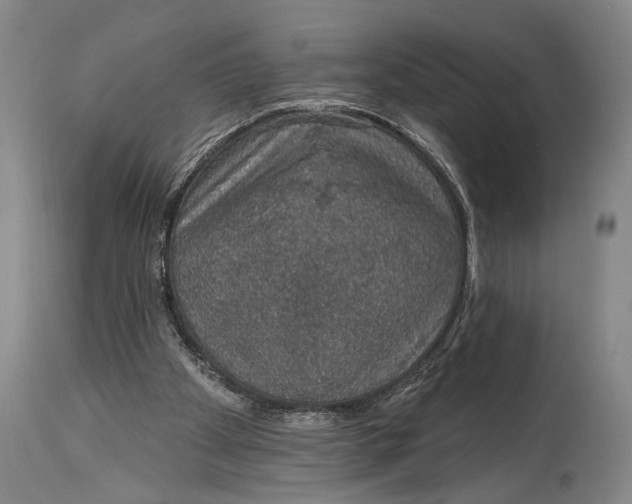 X0000115070105200911171139