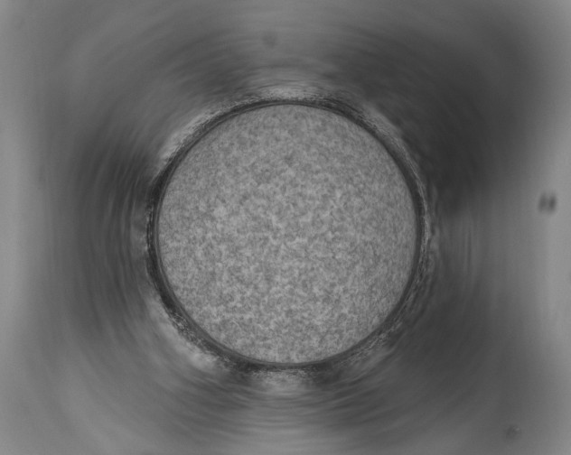 X0000115070106200911171139