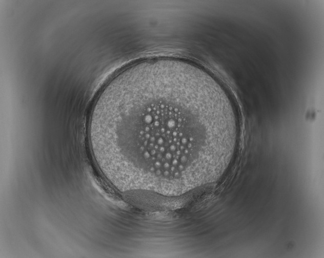 X0000115070107200911171139