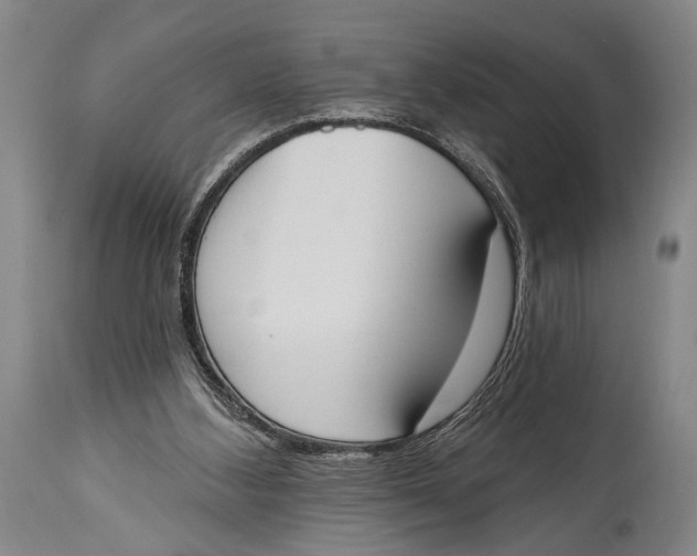 X0000115070108200911171139