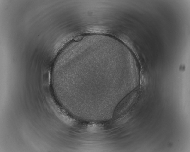 X0000115070109200911171139