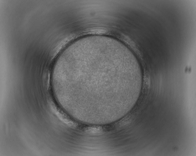 X0000115070110200911171139