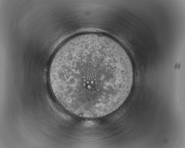 X0000115070111200911171139