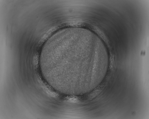 X0000115070113200911171139