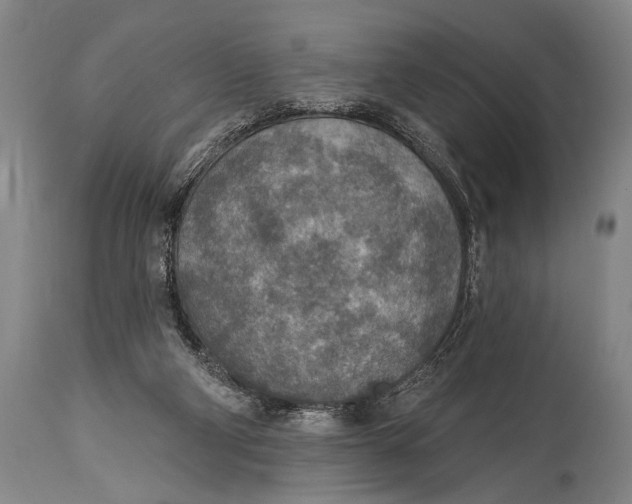 X0000115070114200911171139