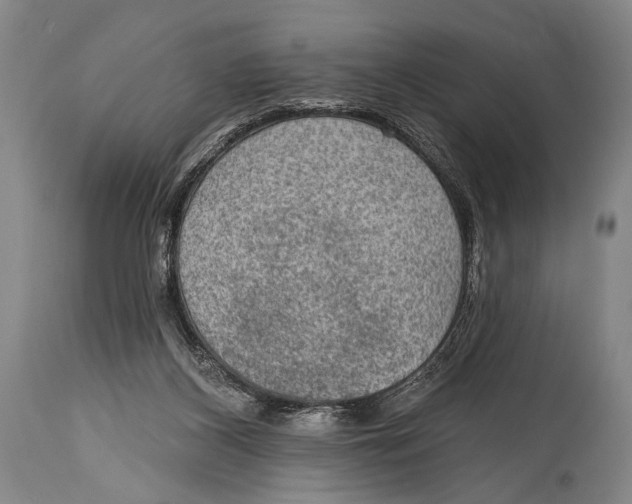 X0000115070116200911171139