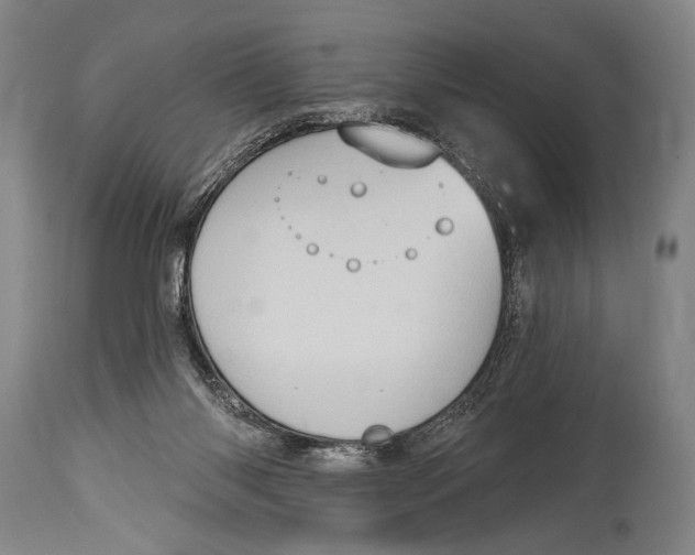 X0000115070118200911171139