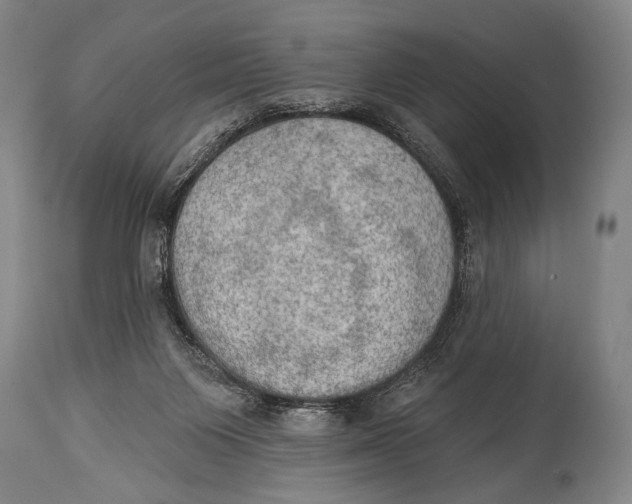 X0000115070119200911171139