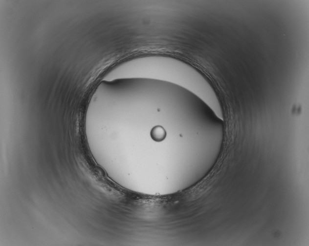 X0000115070120200911171139