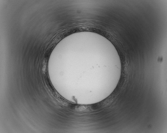 X0000115070129200911171139