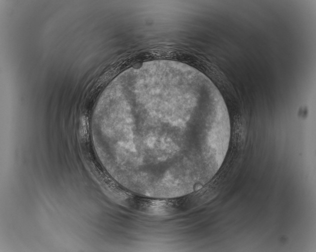 X0000115070130200911171139
