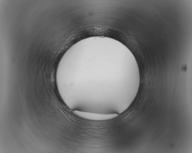 X0000115070131200911171139
