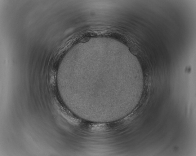 X0000115070132200911171139