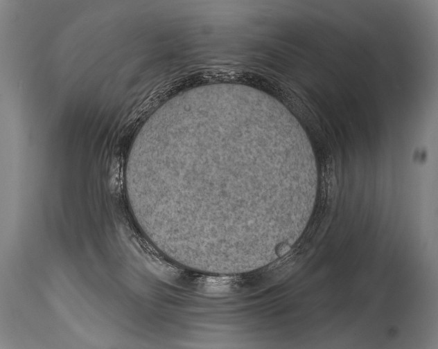 X0000115070134200911171139