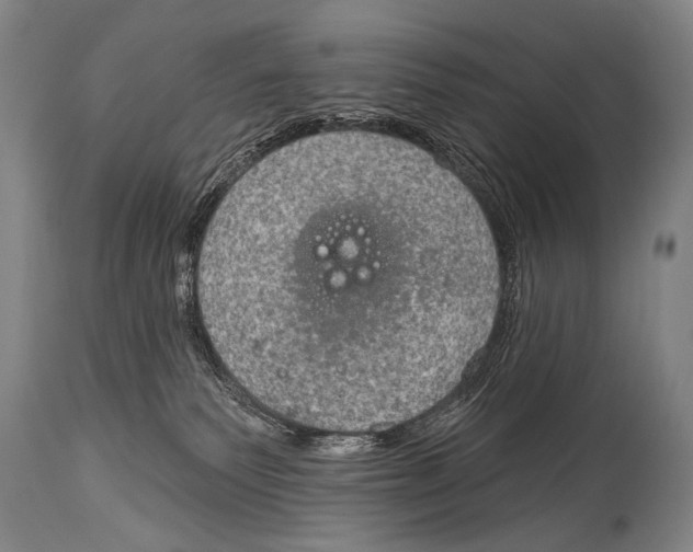 X0000115070135200911171139