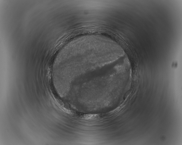 X0000115070136200911171139