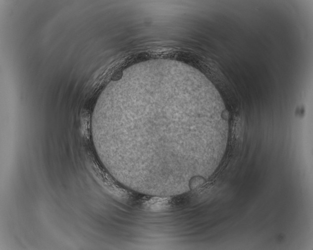 X0000115070138200911171139