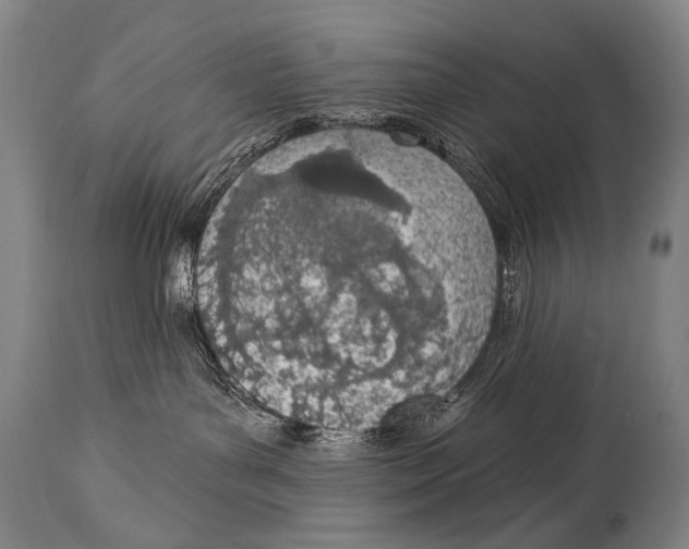 X0000115070143200911171139