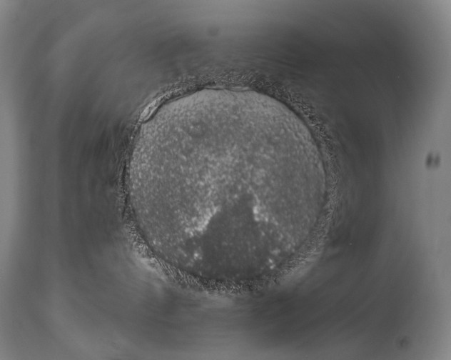X0000115070144200911171139