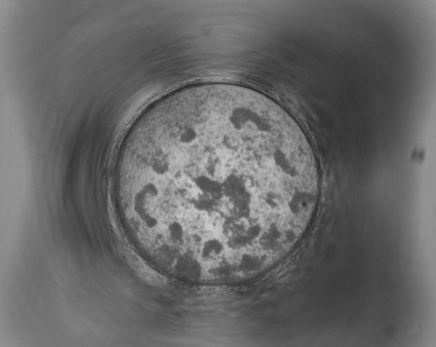 X0000115070145200911171138