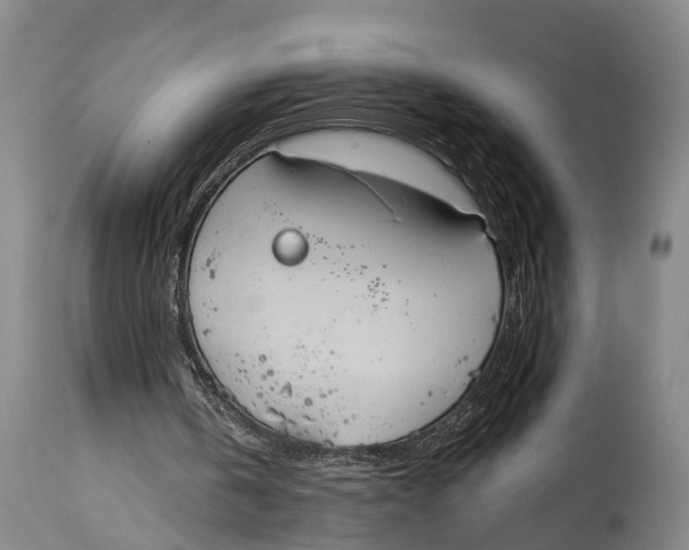 X0000115070146200911171138