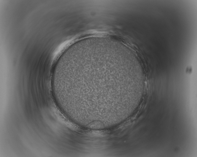 X0000115070149200911171138